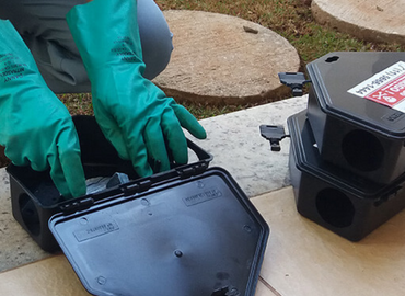 Design sem nome (23) Design sem nome (23)