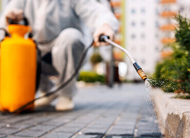 desinsetizacao-beneficios desinsetizacao-beneficios